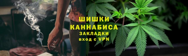 шишки Горнозаводск